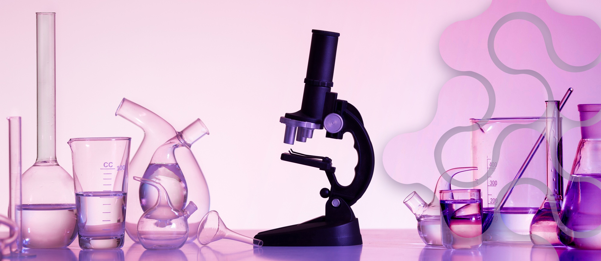 banner portada bromatologicos patron