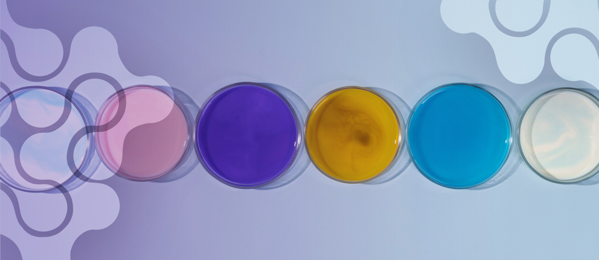 banner vitaminas