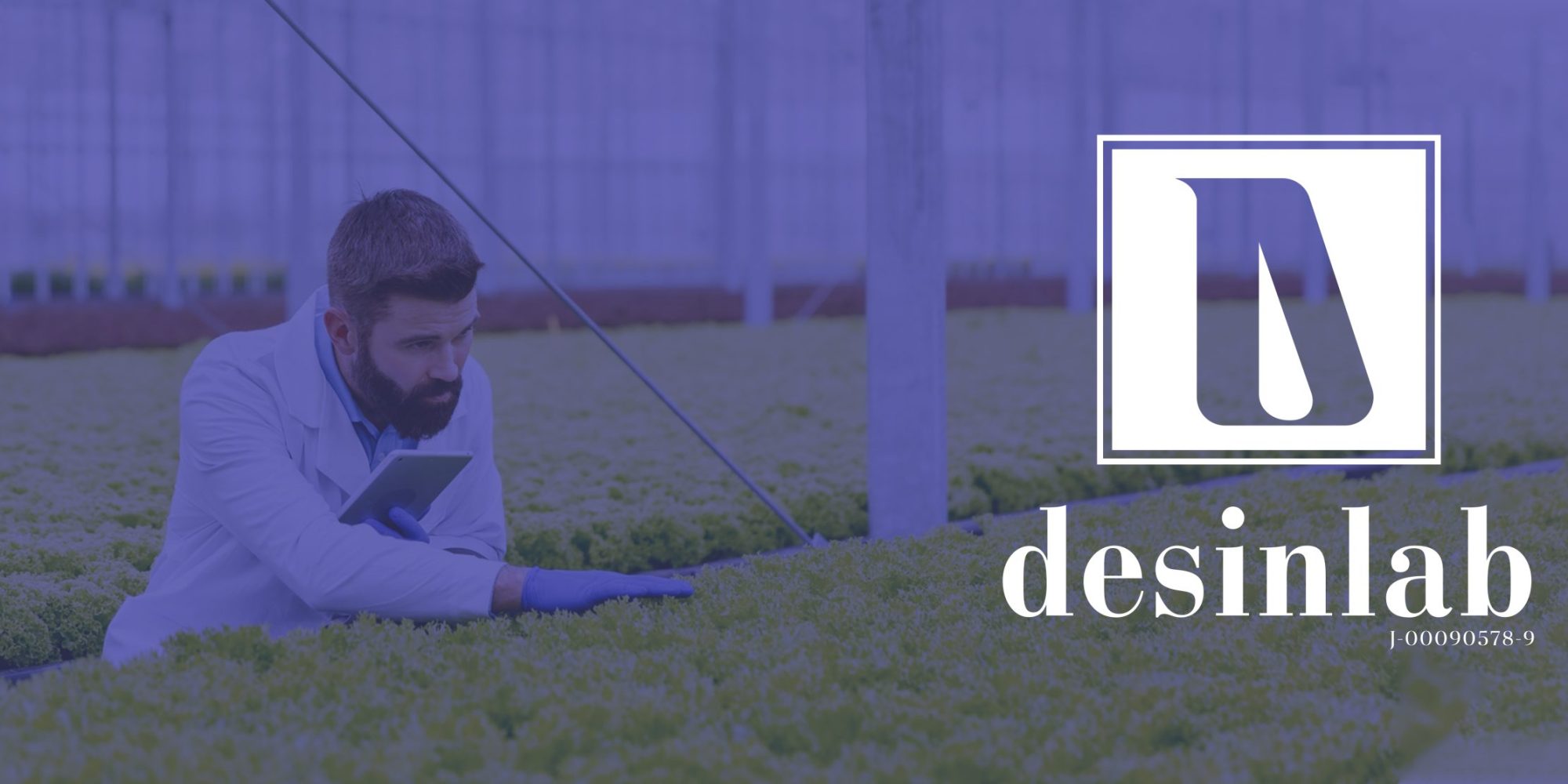 banner desinlab logo