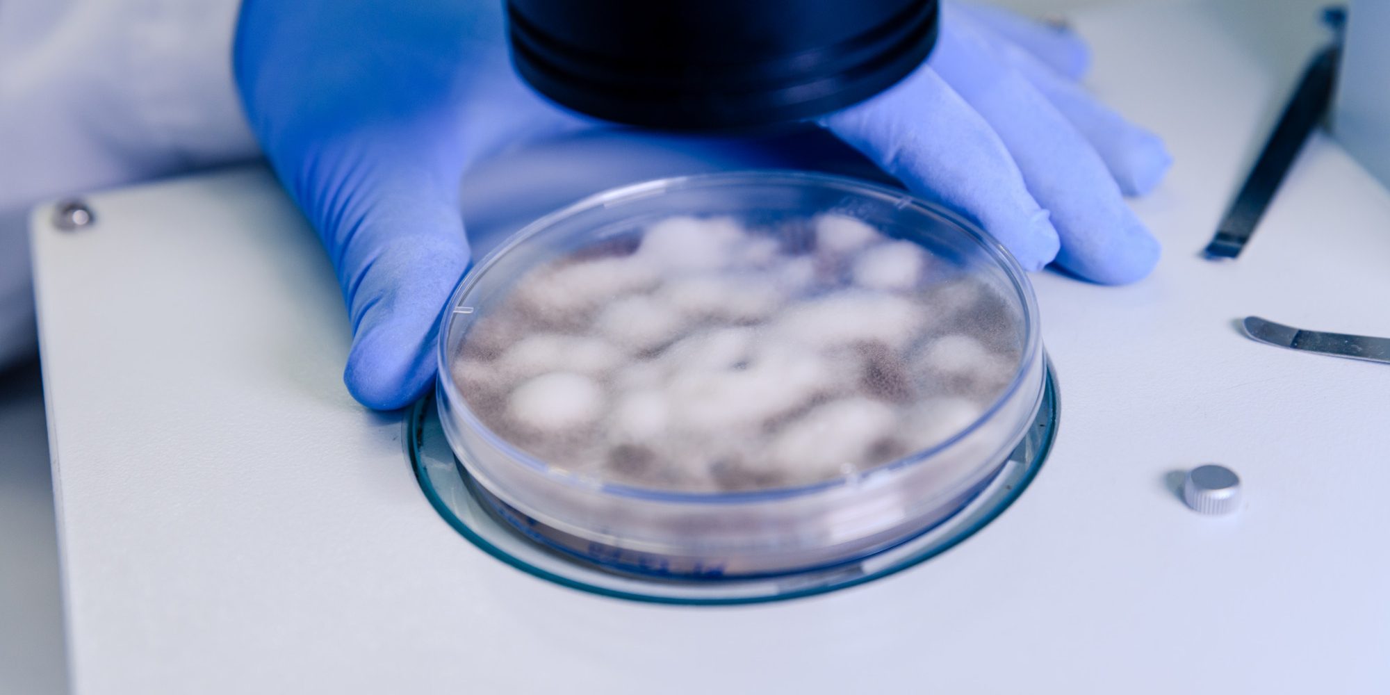 microbiologicos (1)