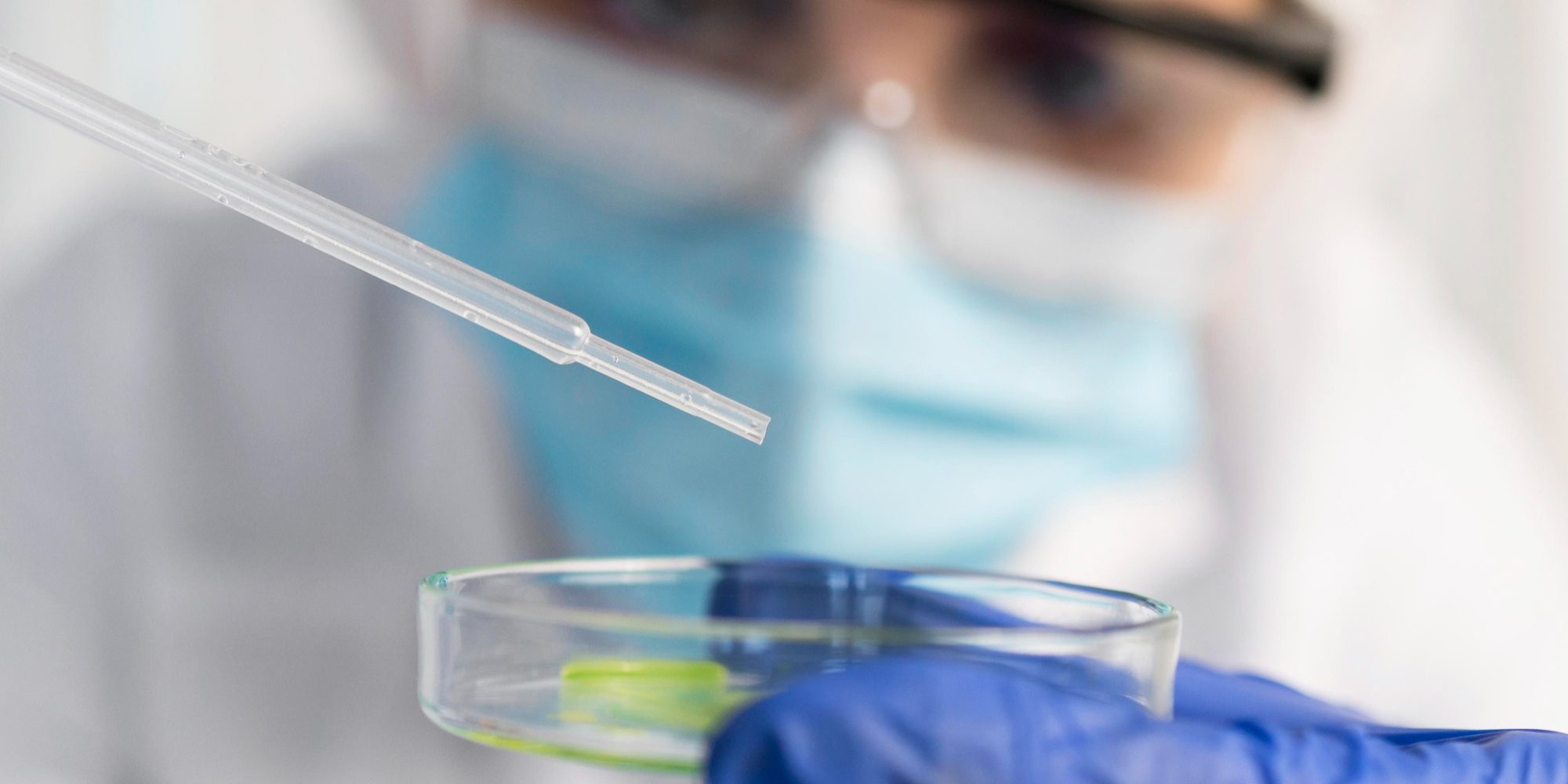 microbiologicos (2)